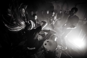 Brutus by Geert Braekers