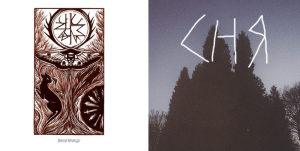 Luminance VS Charnier